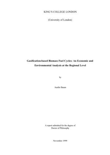 Gasification-based Biomass Fuel Cycles: An Economic and ...