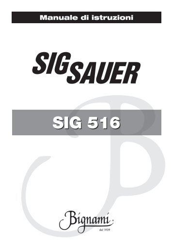 SIG 516 - Bignami