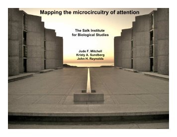 Attention-dependent modulation of firing rate - The Swartz Foundation