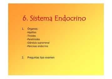 apuntes autonoma 06. Sistema Endocrino.pdf - VeoApuntes.com