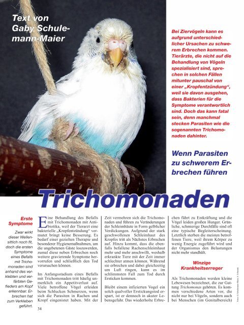 Der Artikel als PDF - Birds Online