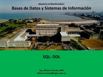 Bases de Datos y Sistemas de InformaciÃƒÂ³n SQL: DDL - Pedeciba