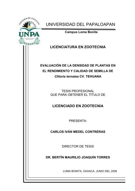 Universidad Del Papaloapan C Unpa