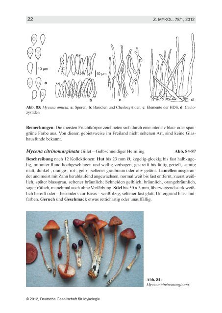 Teil 2 - Ã–kologisch-Botanischer Garten - UniversitÃ¤t Bayreuth