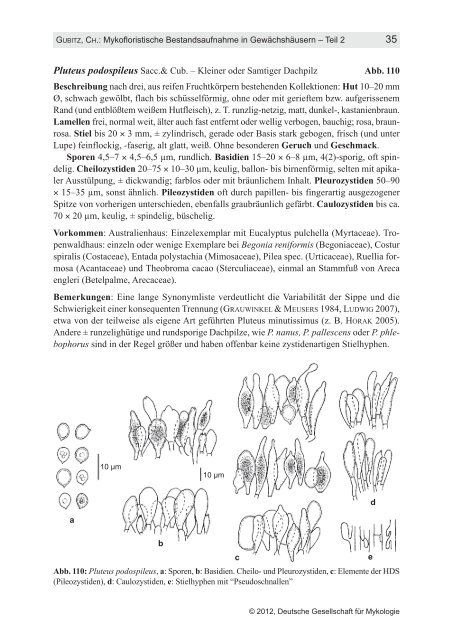 Teil 2 - Ã–kologisch-Botanischer Garten - UniversitÃ¤t Bayreuth