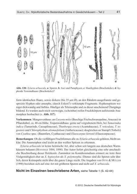 Teil 2 - Ã–kologisch-Botanischer Garten - UniversitÃ¤t Bayreuth