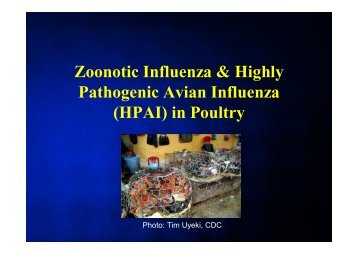 Zoonotic Influenza & Highly Pathogenic Avian Influenza (HPAI) in ...