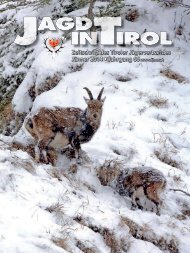 Jagd in Tirol - Tiroler JÃ¤gerverband