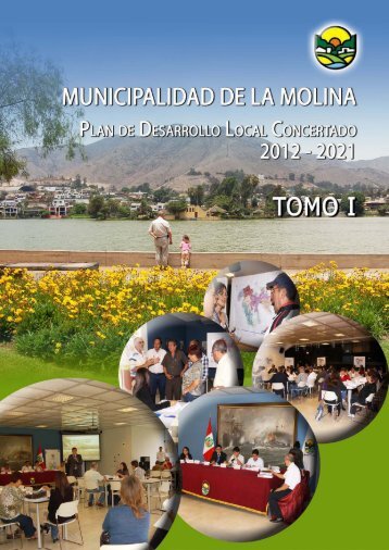 plan de desarrollo local concertado del distrito de la molina