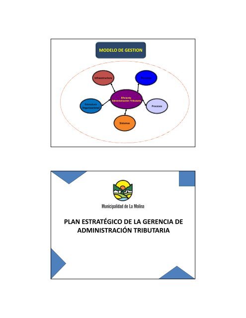 objetivos estrategicos - Municipalidad de La Molina