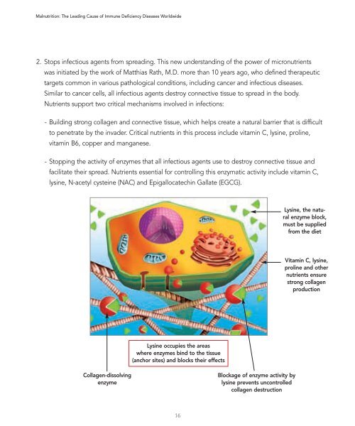 Malnutrition: The Leading Cause of Immune Deficiency Diseases ...