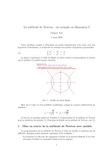 La mÃ©thode de Newton : un exemple en dimension 2