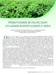 Produtividade de feijÃ£o caupi utilizando biofertilizante e urÃ©ia - Emepa