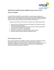 pGIPZ EG5 and GAPDH lentiviral shRNAmir positive control ... - Bioxys