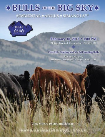 View this catalog - Bulls of the Big Sky