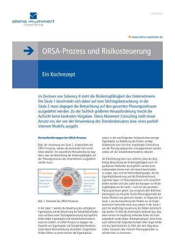 ORSA-Prozess und Risikosteuerung (PDF) - Steria