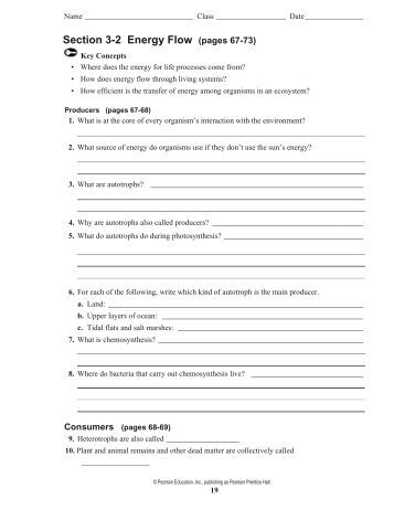 Printables Energy Flow In Ecosystems Worksheet energy flow in ecosystems worksheet syndeomedia 3 intrepidpath