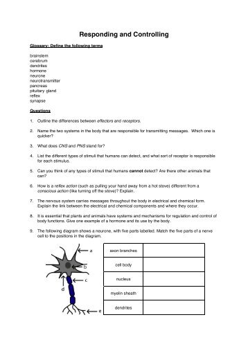 Responding and controlling revision worksheet