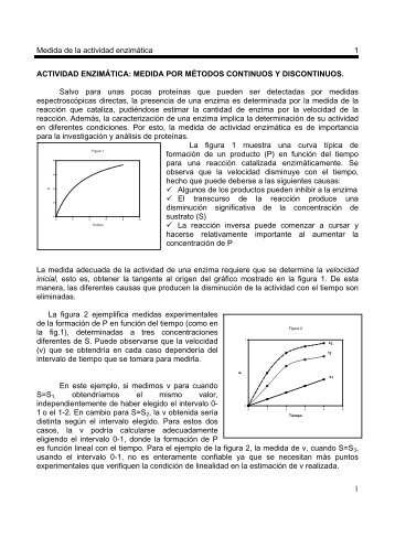 Medida de la actividad enzimÃ¡tica 1 1 ACTIVIDAD ENZIMÃTICA