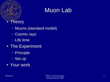 Muon Lab