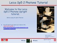 Leica Sp5 2P - EPFL