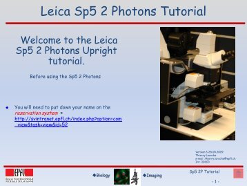 Leica Sp5 2P - EPFL