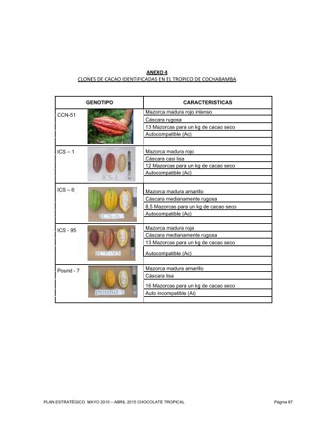 Plan EstratÃ©gico para la UniÃ³n de Organizaciones de Productores ...