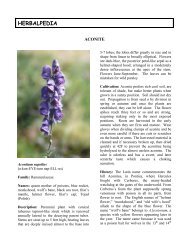 Aconitum napellus - HerbWorld