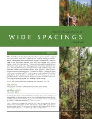 Planting longleaf pine at Wide Spacings