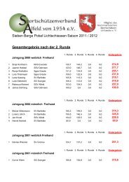 2. Runde Sieben Berge Pokal 2012 Lichtschießen - SSV Alfeld