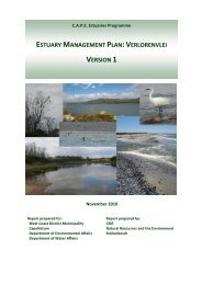 Download PDF - Anchor Environmental