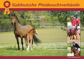 Südpferde - Southern German Horses