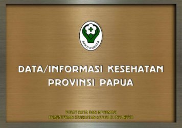 provinsi papua tahun 2011