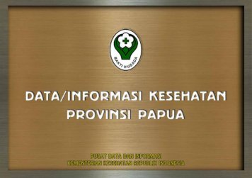 provinsi papua tahun 2011