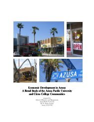 Azusa Retail Study - Chamber Organizer