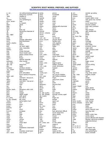 Latin Word List 11