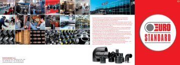 EUROSTANDARD FLYER - STP  FITTINGS