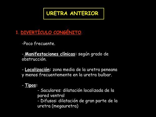 uretra anterior