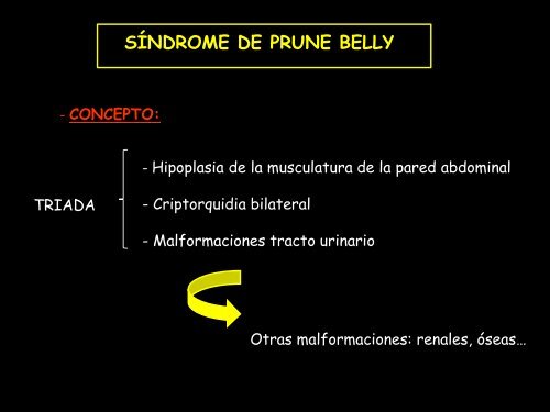 uretra anterior