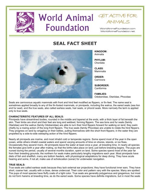 SEAL FACT SHEET - World Animal Foundation