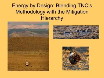 Energy by Design: Blending TNC's Methodology with the Mitigation ...