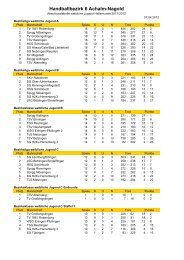 Handballbezirk 6 Achalm-Nagold - Bezirk Achalm-Nagold