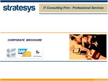 IT Consulting Firm - Professional Services - Stratesys