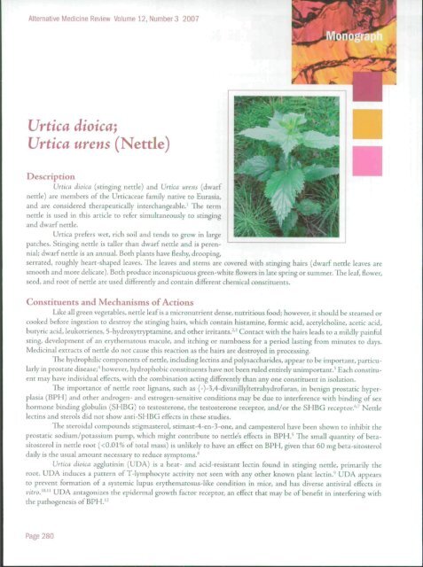 Urtica dioica; Urtica urens (Nettle) - Encognitive.com