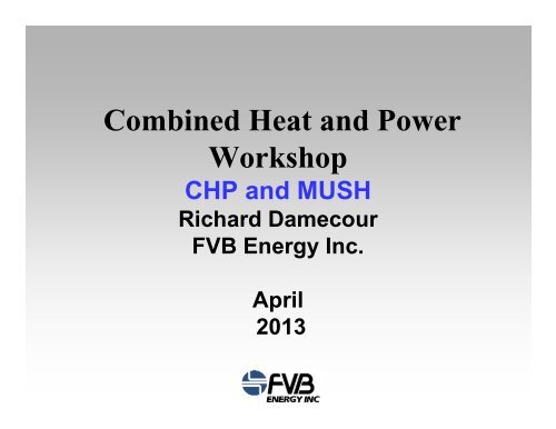 Richard Damecour, FVB Energy Inc.