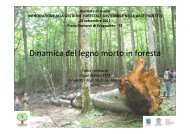 Lombardi - Parco Nazionale del Gran Sasso e Monti della Laga