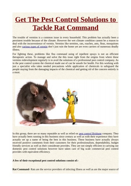 Get The Pest Control Solutions to Tackle Rat Command
