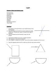 Light revision worksheet