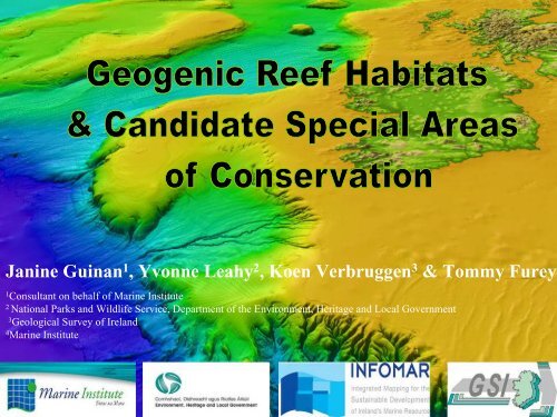 Geogenic Reefs Candidate Sacs Geological Survey Of Ireland - 