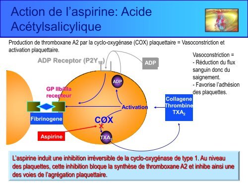 ClOpidogrel - bienvenue sur le site de l'amiform